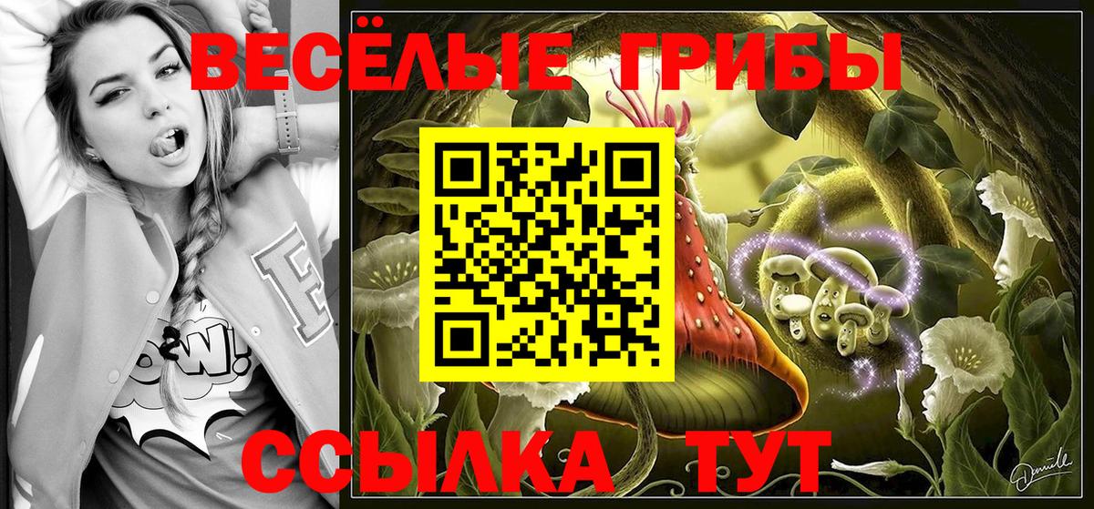 Гашиш Ишим