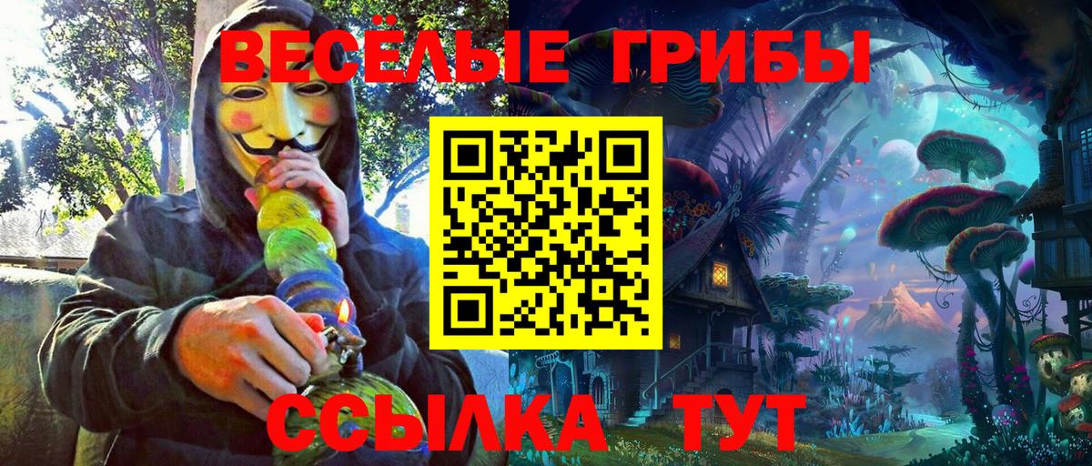 Псилоцибиновые грибы прущие грибы  Вход с VPN  Ишим 