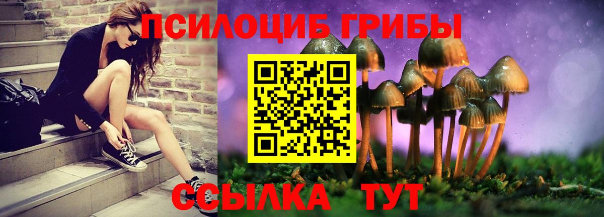 Псилоцибиновые грибы MAGIC MUSHROOMS Ишим